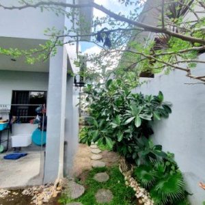 20220215_123516 (Custom)