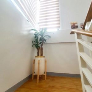 20220215_124008 (Custom)