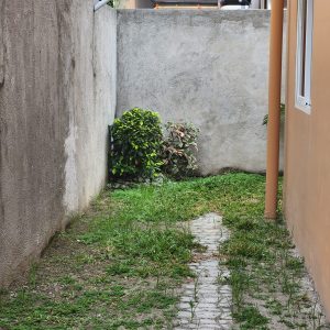 342515498_904382981135180_5295564620361729622_n