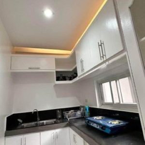 Passive Income Alert! Income-Generating House near Clark for Sale_13