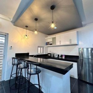 Passive Income Alert! Income-Generating House near Clark for Sale_4