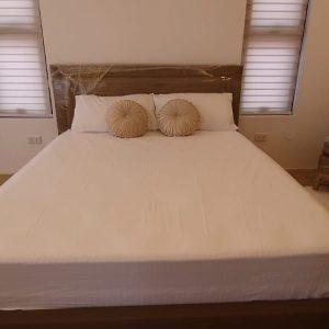 Brand New 2-Storey Modern Contemporary Home for Sale in San Fernando, Pampanga4338511_2448857498600868_7943200971276960408_n