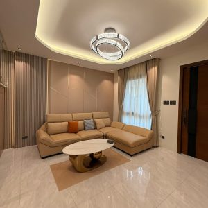 Brand-New Fully Furnished House for Sale in Clark Manor_28