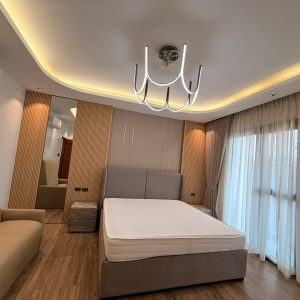 Brand-New Fully Furnished House for Sale in Clark Manor_14