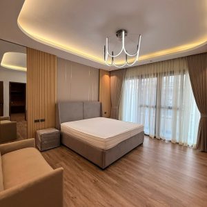 Brand-New Fully Furnished House for Sale in Clark Manor_11