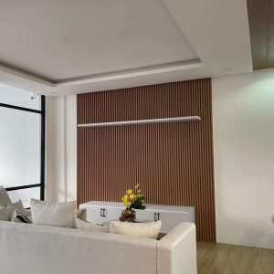 Modern Scandinavian Home with Dip Pool in Metrogate, Angeles, Pampanga565849_485454596937629_5830779147157662065_14