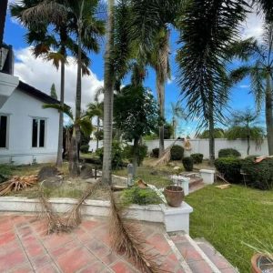 Timeless Mediterranean Style Mansion in Sunset Estate 23