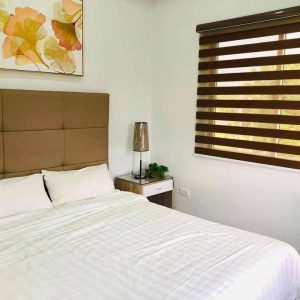 breezy_and_bright_home_in_friendly_neighborhood_near_clark_airport 23