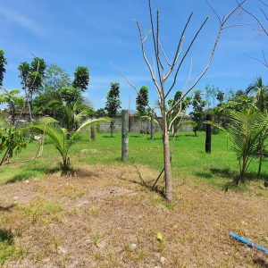 farm villa with greek white house in san fernando 6