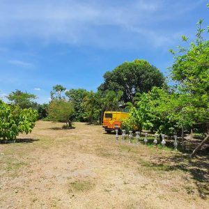 farm villa with greek white house in san fernando 8