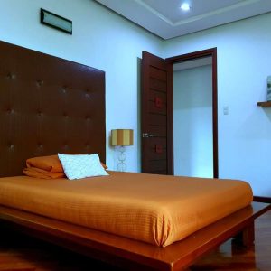 luxurious mansion in san fernando 19