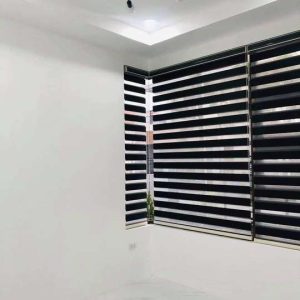 modern and elegant home with pool in enclave 13