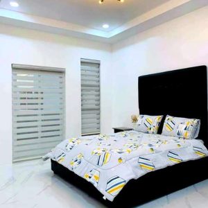 modern and elegant home with pool in enclave 19