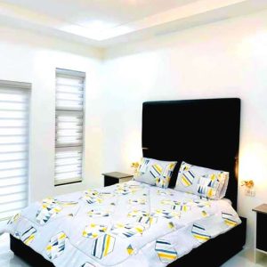 modern and elegant home with pool in enclave 25