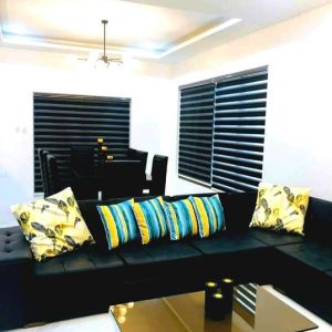 modern and elegant home with pool in enclave 27