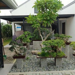 posh_cosmopolitan_bungalow_near_clark 9