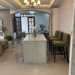 Luxurious House with Income Potential_12