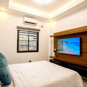 sophisticated_smart_home_in_forest_park_north 0